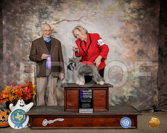 Schnauzer Miniature #16 Sat WB Judge Robert Shreve__SR_1442-Austin2019-HR3