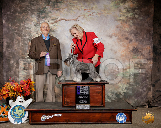 Schnauzer Miniature #16 Sat WB Judge Robert Shreve__SR_1444-Austin2019-HR3