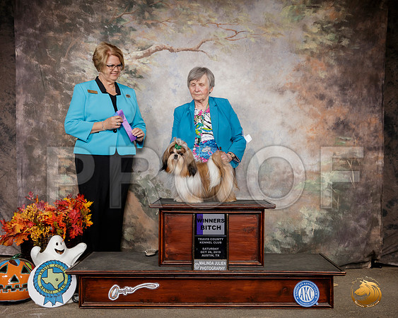 Shih Tzu #8? Sat WB Judge Cindy Lane__SR_1561-Austin2019-HR3