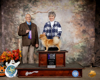 Tibetan Spaniel #10 Sat WB Maj Judge Robert Shreve