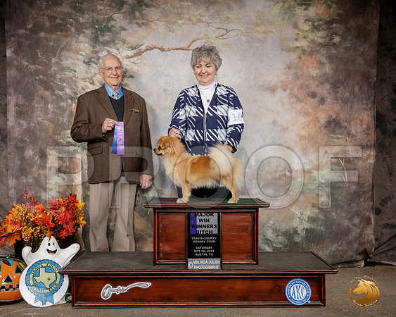 Tibetan Spaniel #10 Sat WB Maj Judge Robert Shreve__SR_1435-Austin2019-HR3
