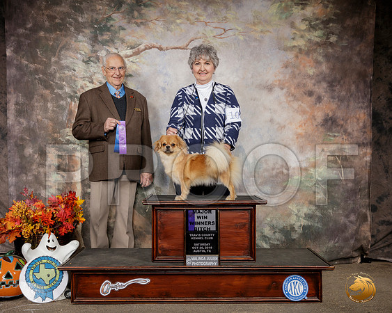 Tibetan Spaniel #10 Sat WB Maj Judge Robert Shreve__SR_1436-Austin2019-HR3