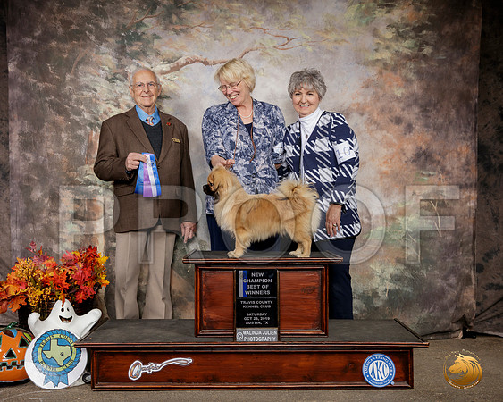 Tibetan Spaniel #11 Sat BOW Maj Judge Robert Shreve__SR_1428-Austin2019-HR3