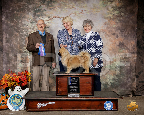 Tibetan Spaniel #11 Sat BOW Maj Judge Robert Shreve__SR_1429-Austin2019-HR3