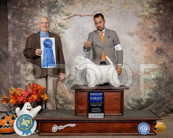 West Highland White Terrier #7 Sat G1 Judge Robert Shreve__SR_1659-Austin2019-HR3