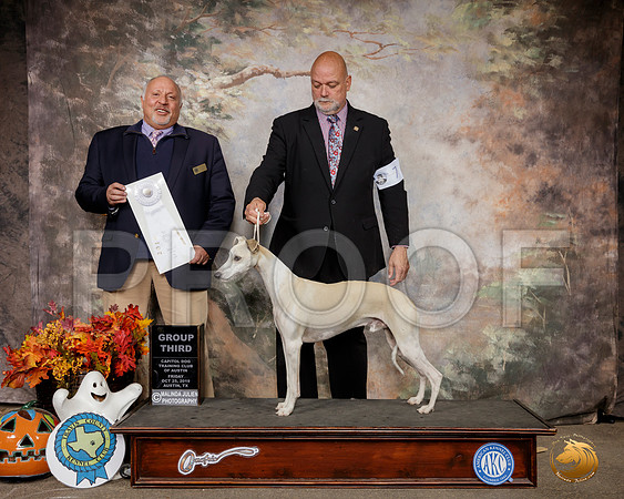 Whippet #7 G3 Judge Hal Biermann__SR_1647-Austin2019-HR3