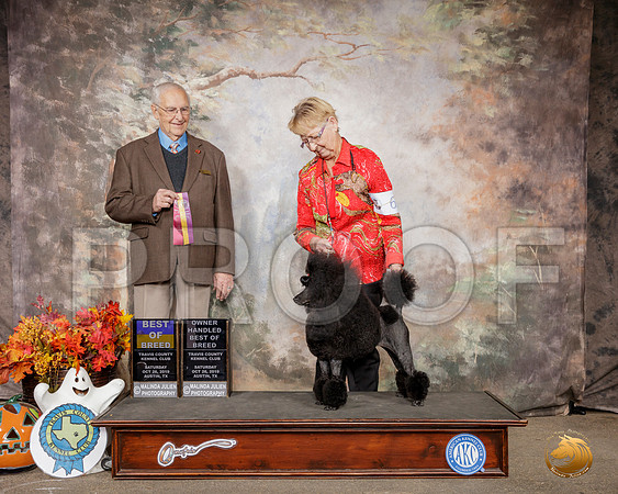 Poodle Miniature #6 Sat BOB OHBOB Judge Robert Shreve__SR_1446-Austin2019-HR3