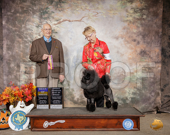 Poodle Miniature #6 Sat BOB OHBOB Judge Robert Shreve__SR_1448-Austin2019-HR3