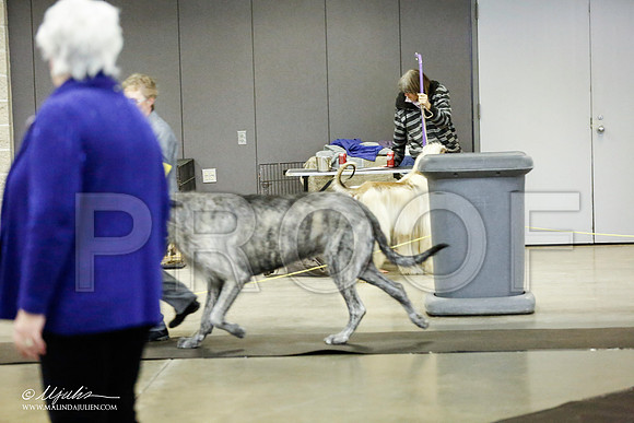 _RH_1384-BeltonJan2015IABCA-HR3