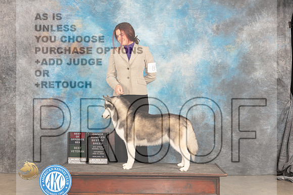 Alaskan Malamute #8 Sat BOSOHBOBBV VG2 Judge Carolyn Herbel_JP_1433_MIDLAND2024_HR3