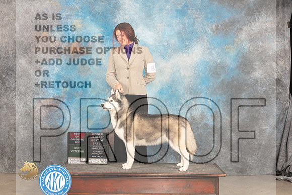 Alaskan Malamute #8 Sat BOSOHBOBBV VG2 Judge Carolyn Herbel_JP_1435_MIDLAND2024_HR3