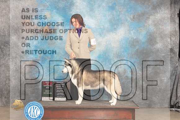 Alaskan Malamute #8 Sat BOSOHBOBBV VG2 Judge Carolyn Herbel_JP_1437_MIDLAND2024_HR3