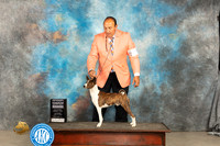 Basenji #7 Sat G4 Judge Marilyn Pipes