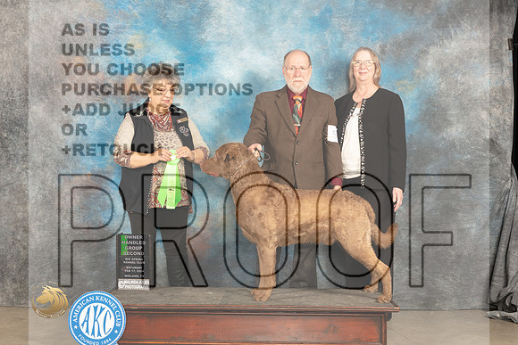 Chesapeake Bay Retriever #5 Sat OHG2 Judge Marilyn Pipes_JP_1451_MIDLAND2024_HR3