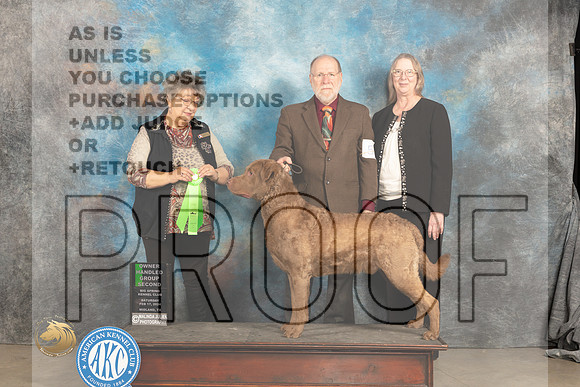 Chesapeake Bay Retriever #5 Sat OHG2 Judge Marilyn Pipes_JP_1455_MIDLAND2024_HR3