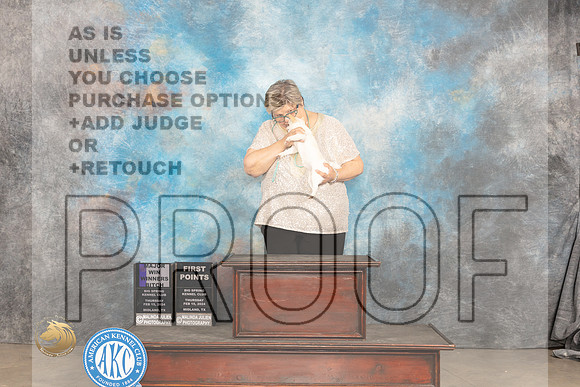 Chihuahua Smooth #10 Thur WBM Judge Gloria Kerr_JP_1360_MIDLAND2024_HR3