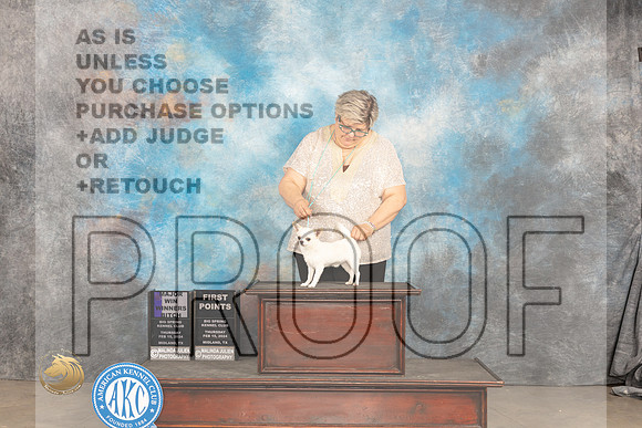 Chihuahua Smooth #10 Thur WBM Judge Gloria Kerr_JP_1362_MIDLAND2024_HR3