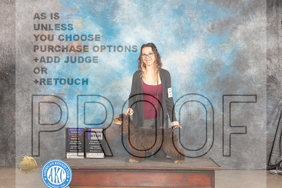 Cocker Spaniel ASCOB #6 Sat BOBOHBOBWB Judge Dale Martensen_JP_1330_MIDLAND2024_HR3