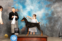 Doberman Pincher #8 Sat G4 Judge Carolyn Herbel