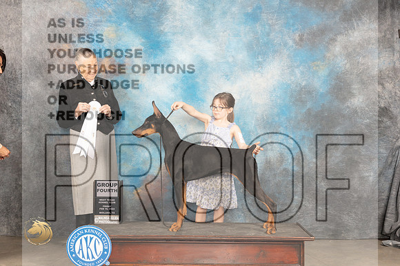 Doberman Pincher #8 Sat G4 Judge Carolyn Herbel_JP_1391_MIDLAND2024_HR3