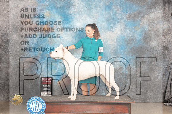 Dogo Argentino #5 Fri G2 Judge Donnelle Richards R_JP_1383_MIDLAND2024_HR3