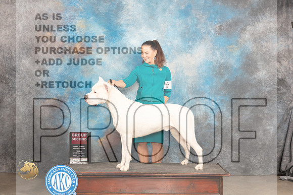 Dogo Argentino #5 Fri G2 Judge Donnelle Richards R_JP_1387_MIDLAND2024_HR3