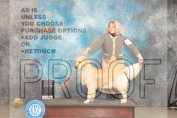 Golden Retriever #16 Sat RWB Judge Marilyn Pipes_JP_1305_MIDLAND2024_HR3