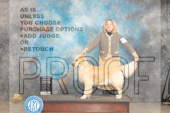 Golden Retriever #16 Sat RWB Judge Marilyn Pipes_JP_1306_MIDLAND2024_HR3