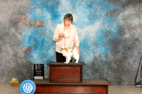 Japanese Chin #10 Sat BOSCH Judge Judy Brown