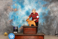 Norwich Terrier #9 Sat WD Judge Denny Mounce