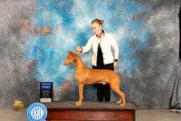 Pharoah Hound #9 Sat G1 Judge Marilyn Pipes