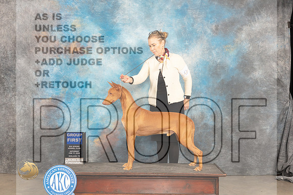 Pharoah Hound #9 Sat G1 Judge Marilyn Pipes_JP_1426_MIDLAND2024_HR3