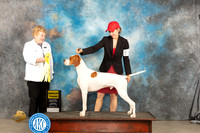 Pointer #5 Sat G3 Judge Judy Brown