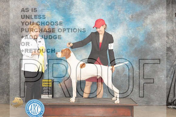 Pointer #5 Sat G3 Judge Judy Brown_JP_1373_MIDLAND2024_HR3