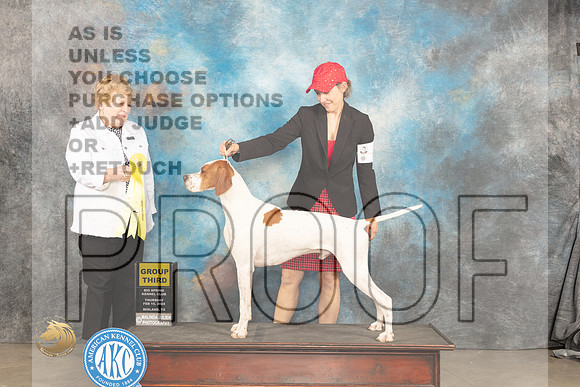 Pointer #5 Sat G3 Judge Judy Brown_JP_1374_MIDLAND2024_HR3