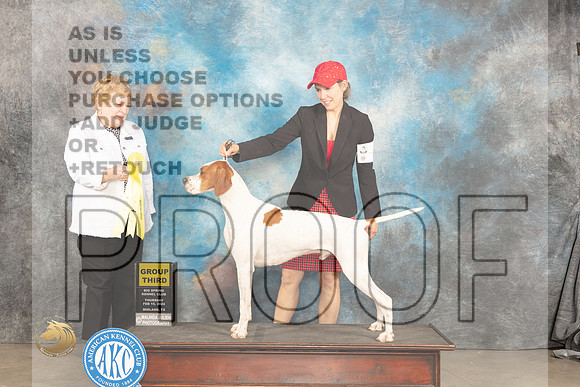 Pointer #5 Sat G3 Judge Judy Brown_JP_1375_MIDLAND2024_HR3