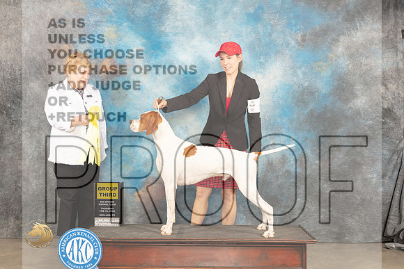 Pointer #5 Sat G3 Judge Judy Brown_JP_1376_MIDLAND2024_HR3