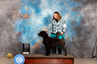 Portuguese Water Dog #11 Sat WDBOWMCH Judge Carolyn Herbel