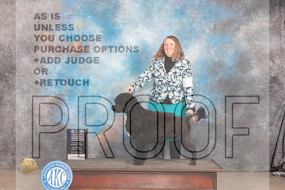 Portuguese Water Dog #11 Sat WDBOWMCH Judge Carolyn Herbel_JP_1312_MIDLAND2024_HR3