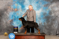 Rottweiler #12 Sat BOB Judge Carolyn Herbel