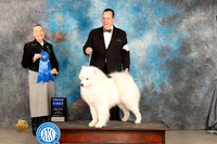 Samoyed #7 Sat G1 Judge Carolyn Herbel