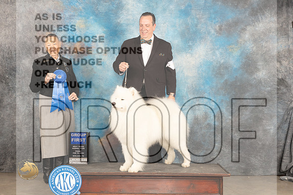 Samoyed #7 Sat G1 Judge Carolyn Herbel_JP_1401_MIDLAND2024_HR3
