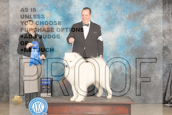 Samoyed #7 Sat G1 Judge Carolyn Herbel_JP_1403_MIDLAND2024_HR3