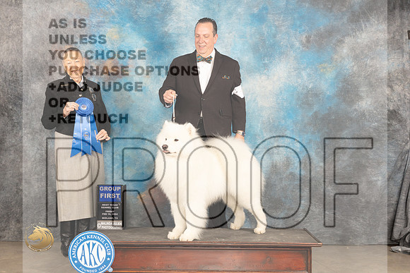 Samoyed #7 Sat G1 Judge Carolyn Herbel_JP_1404_MIDLAND2024_HR3