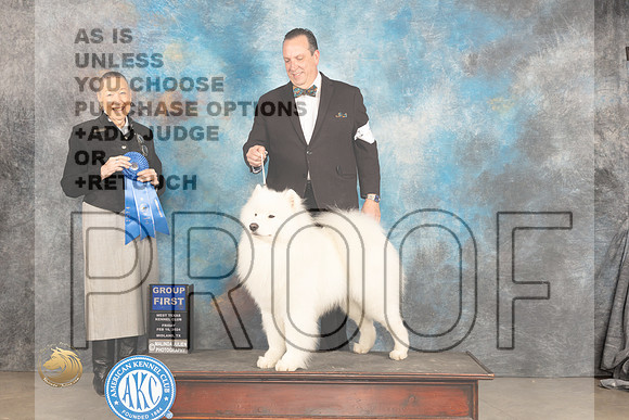 Samoyed #7 Sat G1 Judge Carolyn Herbel_JP_1405_MIDLAND2024_HR3