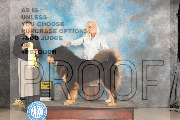 Tibetan Mastiff #5 Sat G3 Judge Carolyn Herbel_JP_1423_MIDLAND2024_HR3