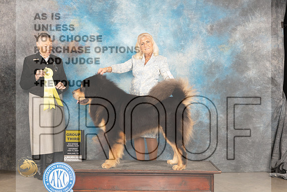 Tibetan Mastiff #5 Sat G3 Judge Carolyn Herbel_JP_1424_MIDLAND2024_HR3