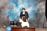 West Highland White Terrier #5 Sat BOBGCH Judge Denny Mounce
