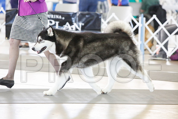 _JJ_0624-DallasJul2014-HR3
