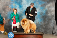 Chow #9 Sat G2 Judge Donnelle Richards